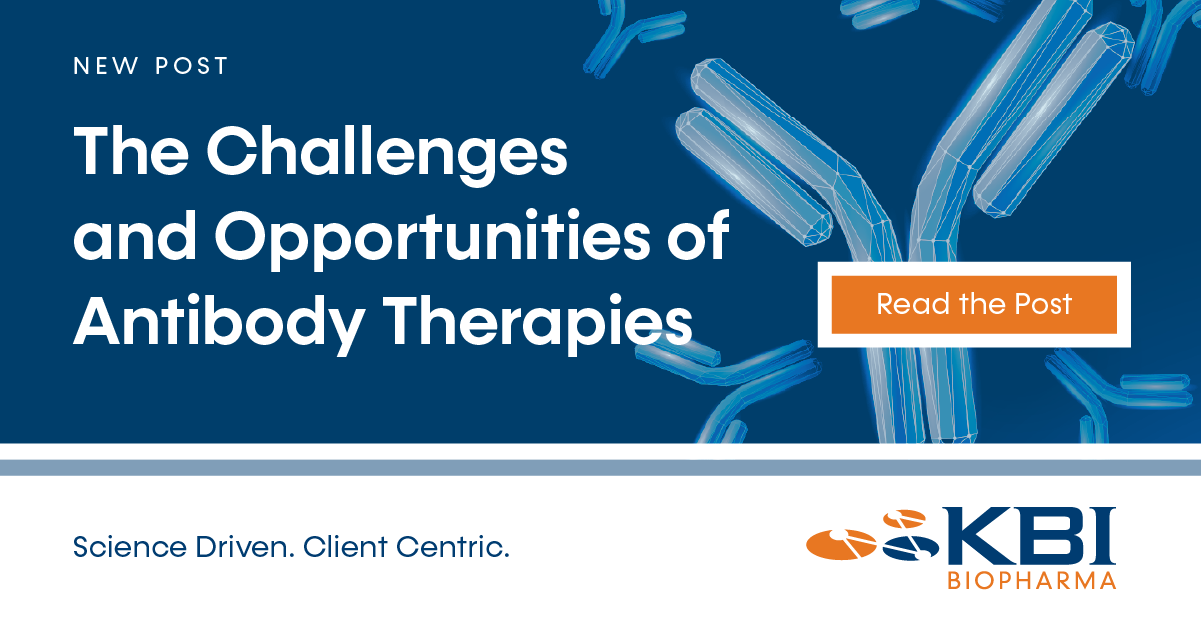 The Challenges and Opportunities of Antibody Therapies