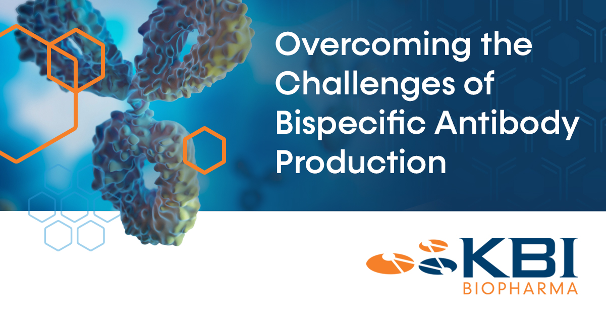 Overcoming the Challenges of Bispecific Antibody Production